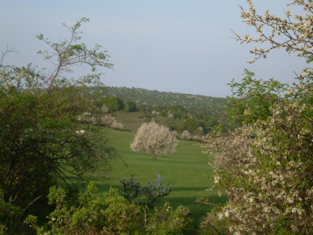 Polichno Ubytovanie Na Vcelej Farme מראה חיצוני תמונה